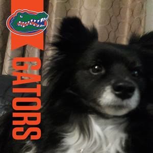 Meet your Posher, Gina